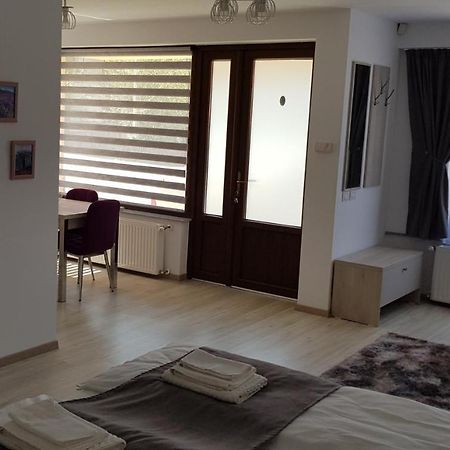 Hotel Casa Montis Borşa Esterno foto