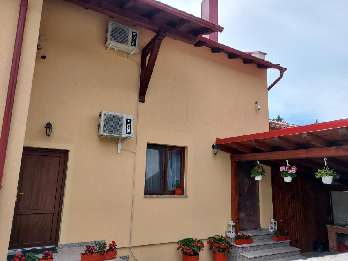 Hotel Casa Montis Borşa Camera foto